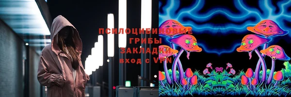 амф Бронницы