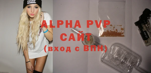 стафф Бородино