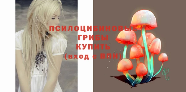 стафф Бородино